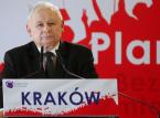 Polityczna wojna o głosy biznesu: PiS proponuje program 500+ dla mikrofirm