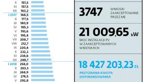 RYNEK ZASILANY DOTACJAMI