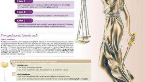 Wybrane zagadnienia proceduralne