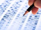 Badania DNA rzucą światło na dzieje dynastii Piastów