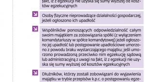 Rejestr Dłużników Niewypłacalnych