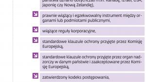 Kiedy możliwy jest transfer danych poza UE
