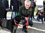 Biedroń zapowiedział powołanie rzecznika praw zwierząt