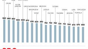 Urzędowa waga metra sześć. drewna