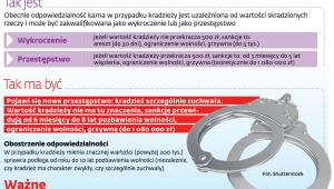 Kradzież niejedno ma imię