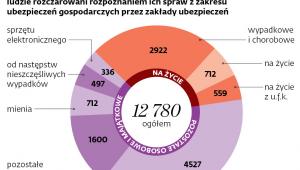 Na kłopoty rzecznik