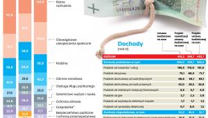 Wydatki według działów
