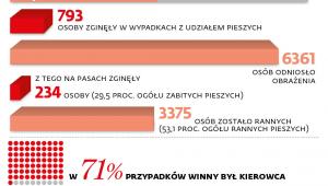 Najgroźniej na zebrze