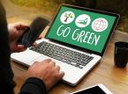 IT może być „green”. HPE Polska zasadzi milion drzew
