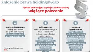 Założenie prawa holdingowego