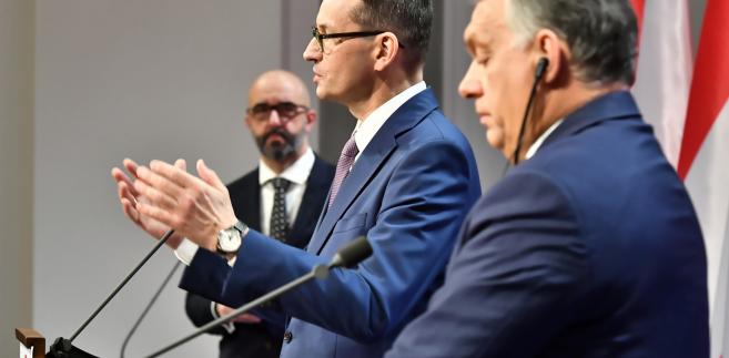 zdjęcie główne